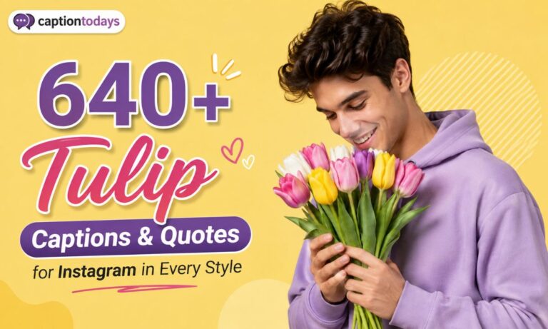 640+ Tulip Captions & Quotes for Instagram in Every Style
