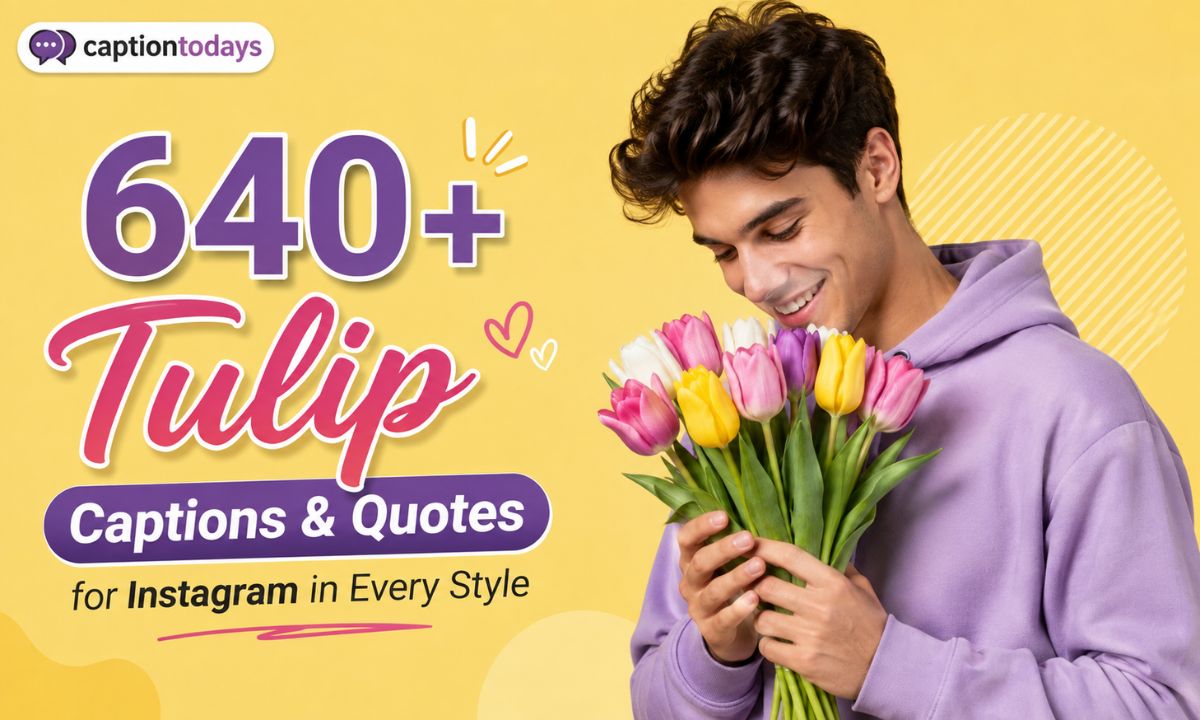 640+ Tulip Captions & Quotes for Instagram in Every Style